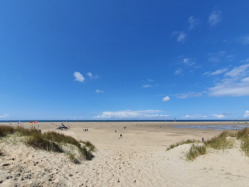 af0a0f4e-75d9-445d-a1e8-7a986b22a56a